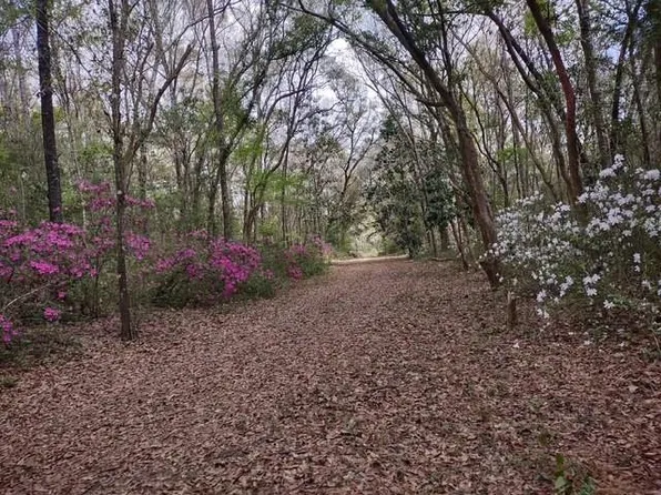 9606 Beverly Rd, Irvington, AL 36544