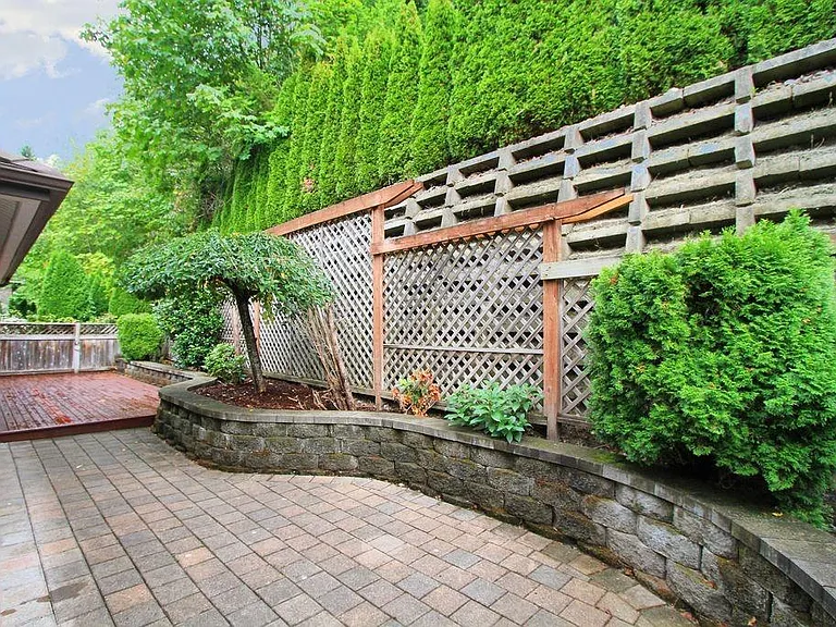 back yard.