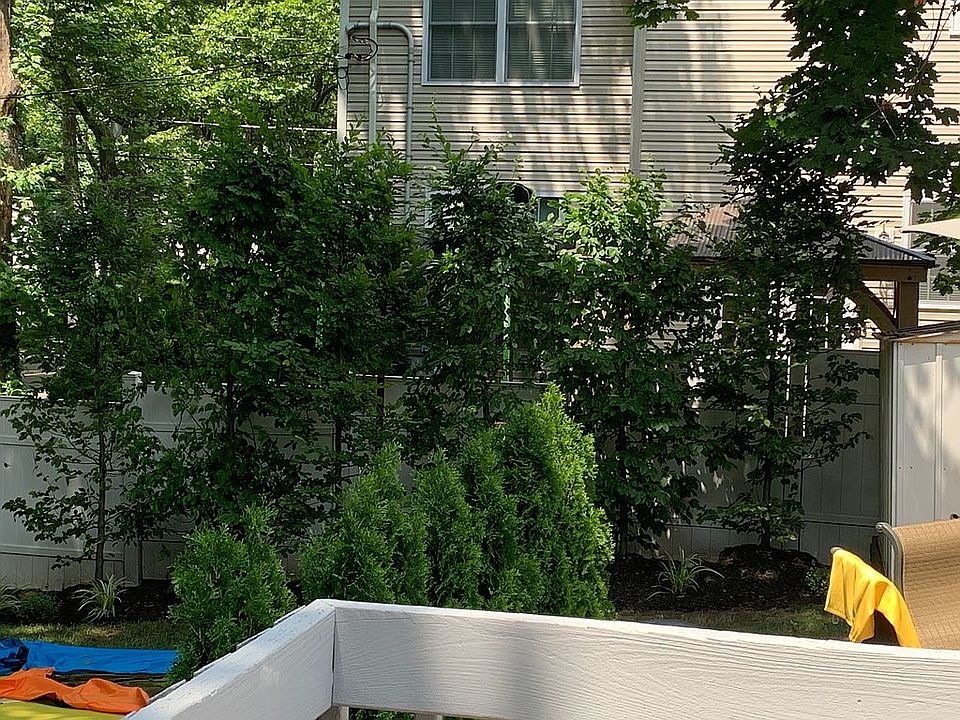 2nd image of 37 Lerome Pl
