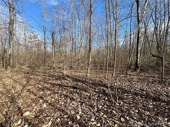 4th image of  W Van Campen Road