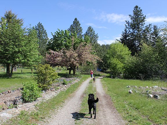 Leisurely walk to the home
