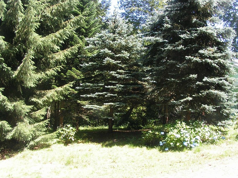 1st image of 55212 312th Ave E
