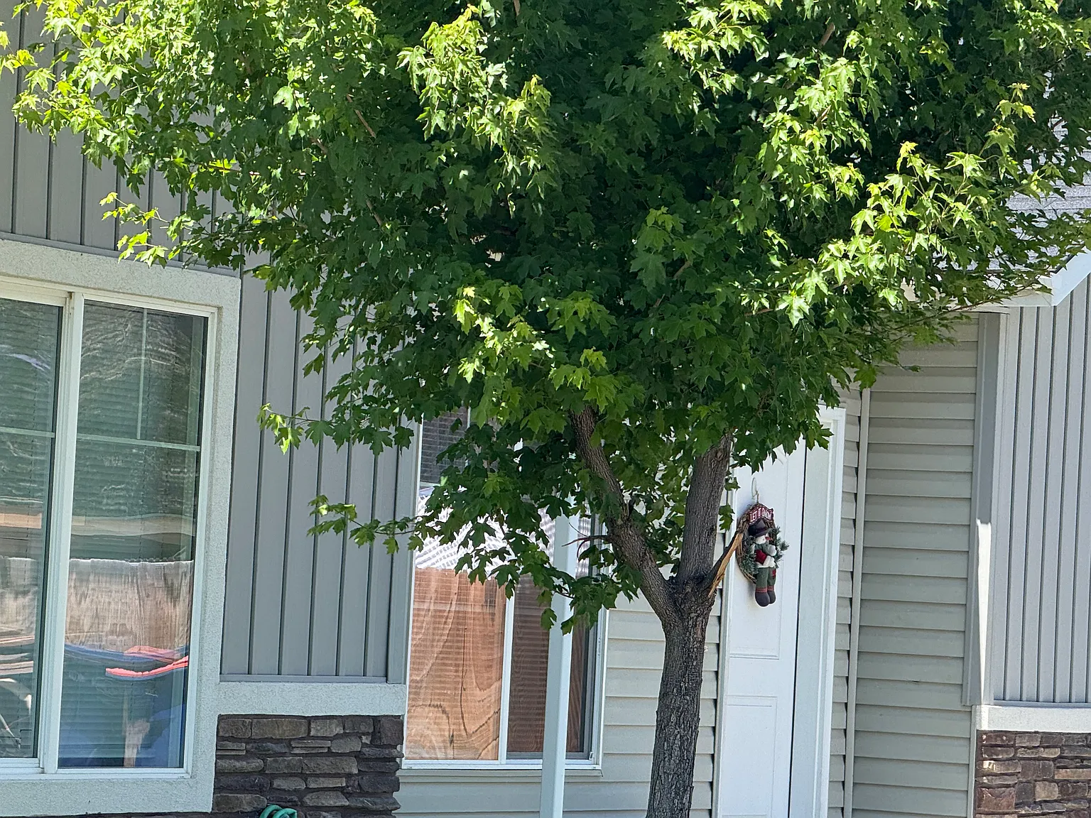 3 bed, 1408 sqft, $2,050 — Photo 4
