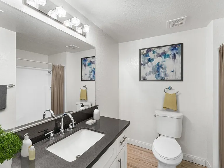Private bathroom in master suite.