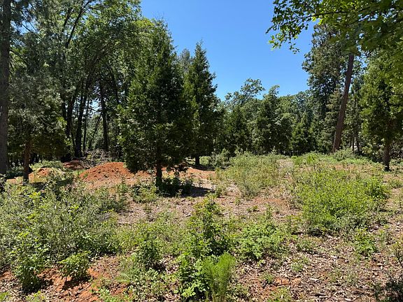 3rd image of 20710 Foresthill Rd