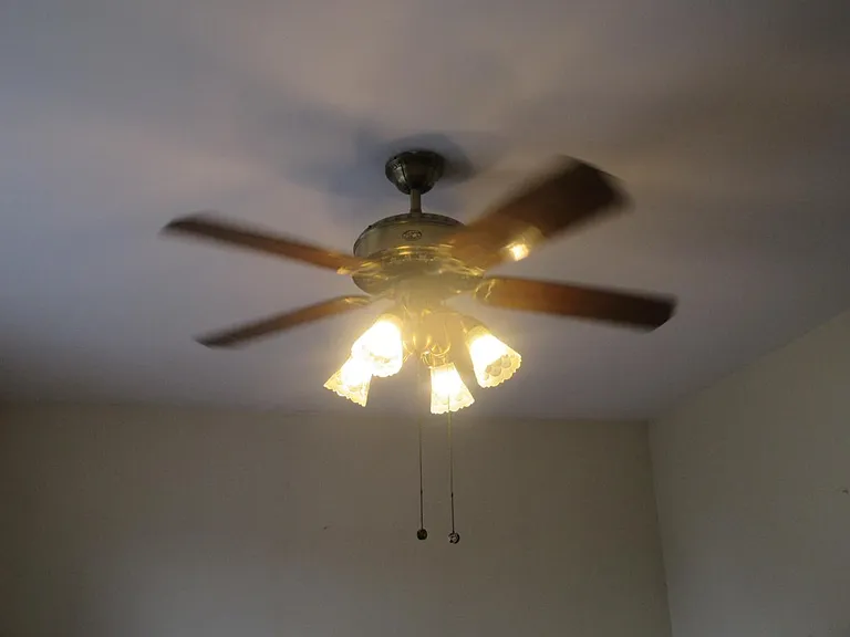 Ceiling fan/light throughout