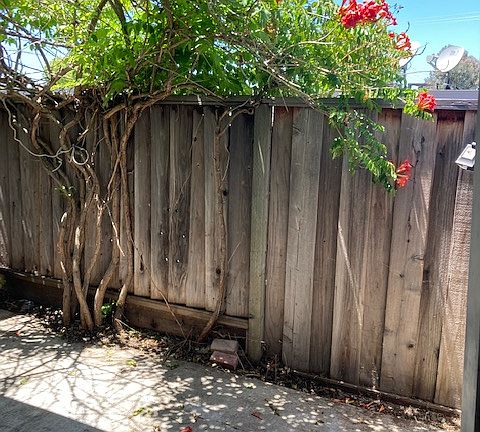 3rd image of 3123 Alma St #A