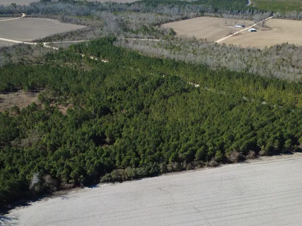 TRACT 3 Greyhound Rd, Mershon, GA 31551