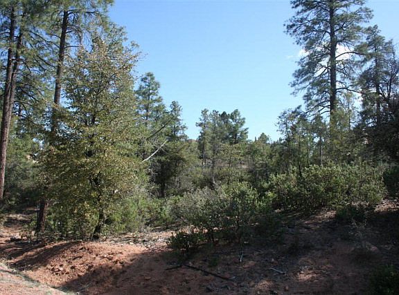 2nd image of 1703 E Desert Mimosa Dr