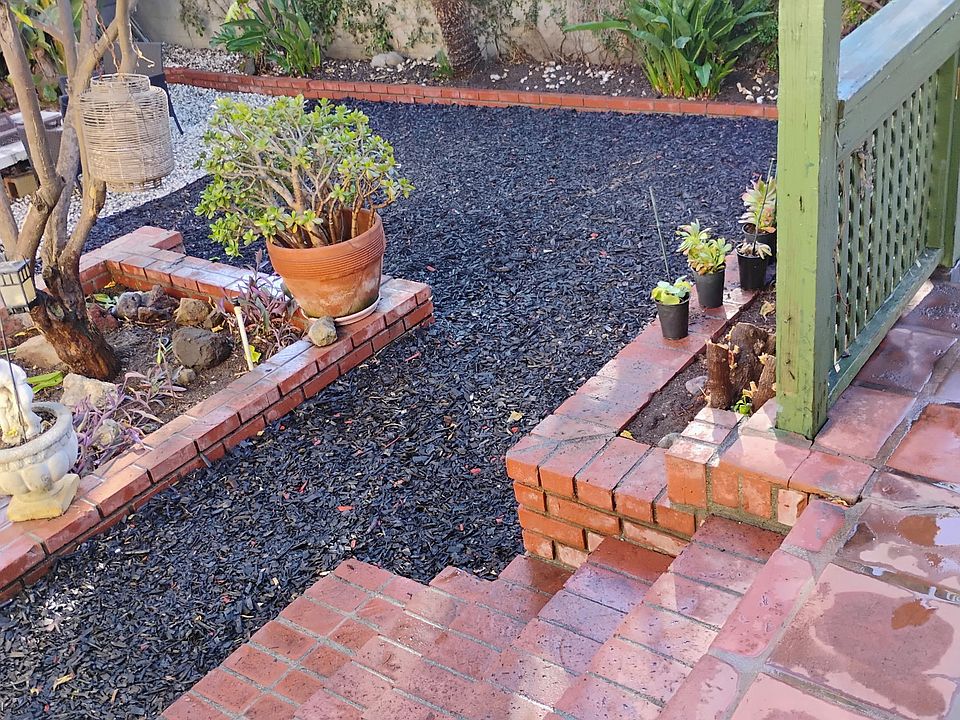 backyard with patio