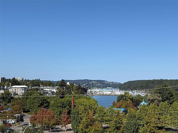 5th image of 55 Comox Rd
