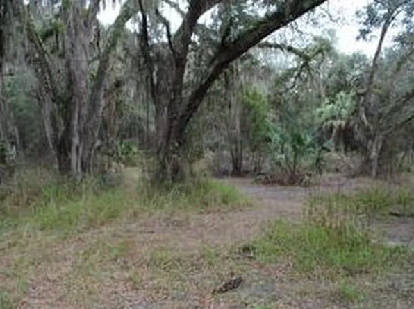 3987 S Big Al Point, Inverness, FL 34452