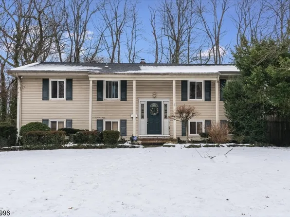 31 Green Dr, East Hanover Twp., NJ 07936