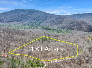 42/43 Enchanting Cir, Morganton, GA 30560