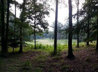 130 Three Oak Ln, Chapin, SC 29036