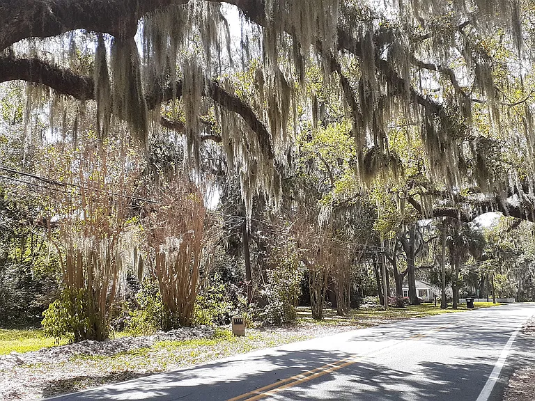 Wilmington Island Rd — Photo 119