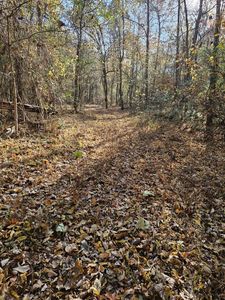 0 Elm Grove Rd, Burlison, TN, 38015