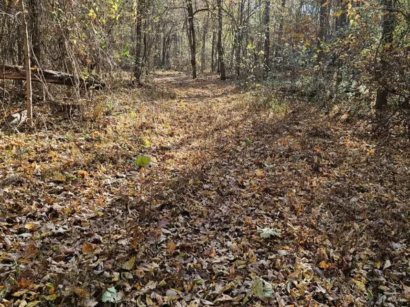 0 Elm Grove Rd, Burlison, TN 38015