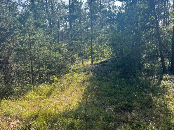 Sandy Trl, Grayling, MI 49738