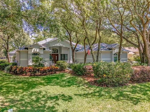 5821 AUDUBON MANOR BOULEVARD, LITHIA, FL 33547