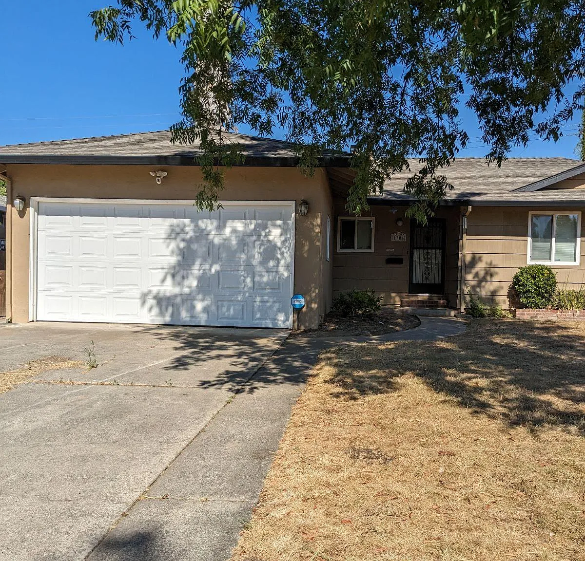 3 bed, 1227 sqft, $2,925 — Photo 2