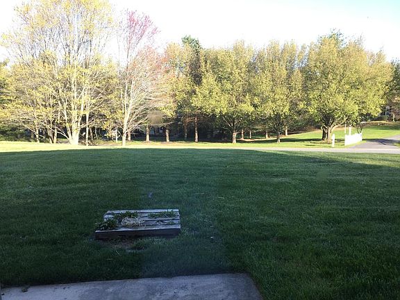 Back yard