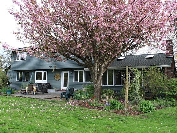 Backyard patio room to BBQ