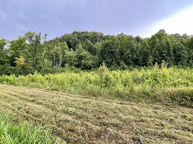 1st image of 0 Blue Springs Rd