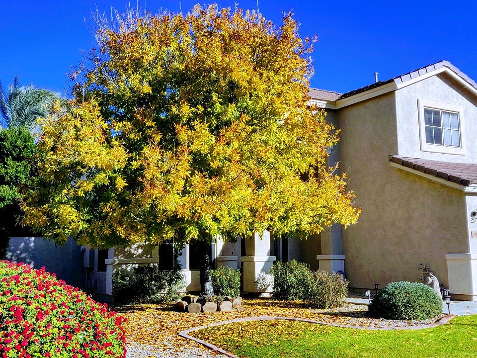 1st image of 732 W Canary Way