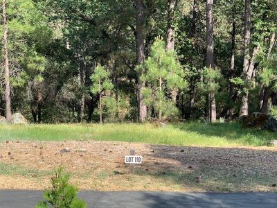 1455 Lodge View Dr Lot 110, Meadow Vista, CA, 95722
