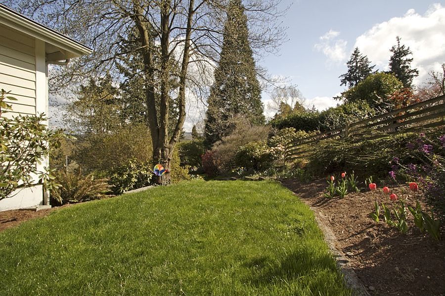 Side Yard