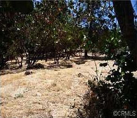 2nd image of 18303 Sugarbush Ct