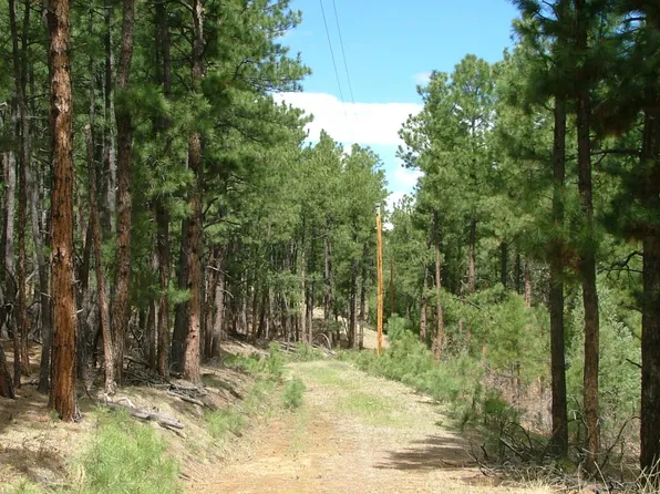 Bear Paw Trl, Walsenburg, CO 81089