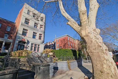 2301 Green St #1 Photo 1
