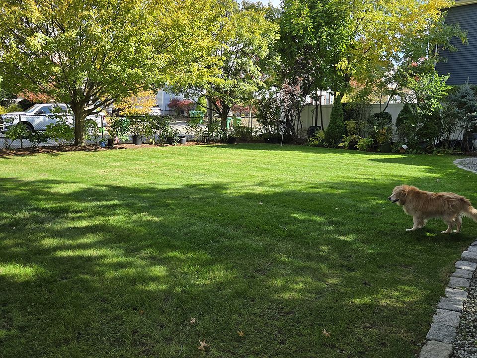 back yard