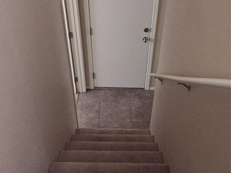8948 Candice Lee Ct — Photo 9