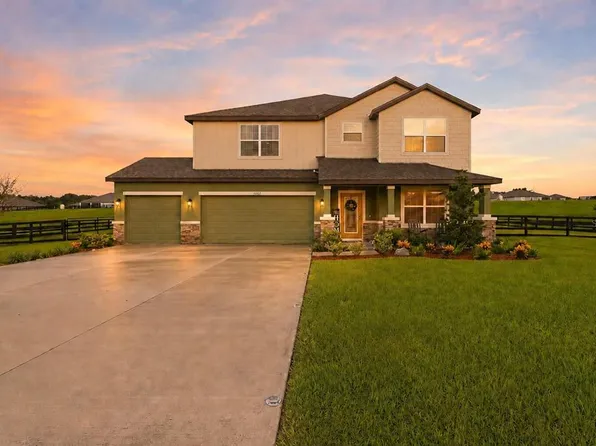 10007 DOLPHIN GULL CIRCLE, THONOTOSASSA, FL 33592
