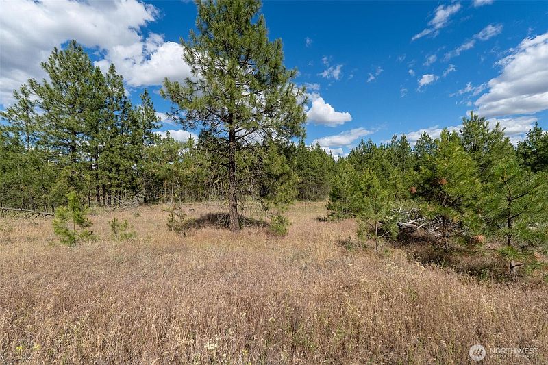 5th image of 35450 Prairie Lane N Lot 2