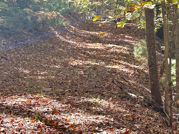 2nd image of Lot 1,2 Royal Oaks Trail