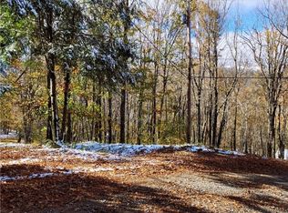 1026 Charter Hills Rd plus Tract 2, Beech Mountain, NC 28604