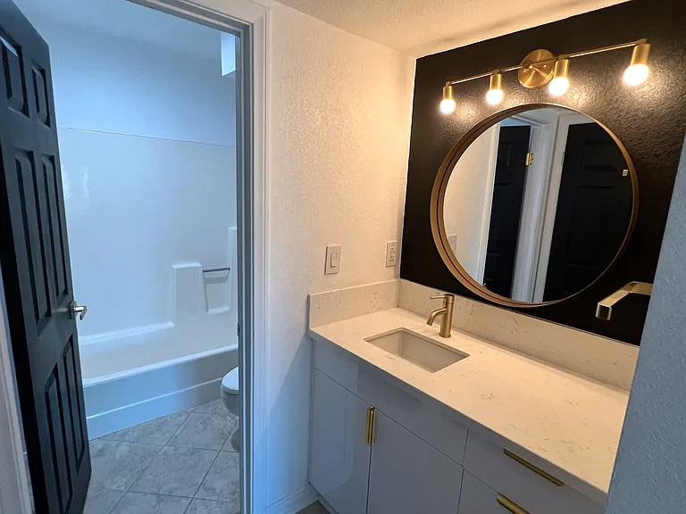 Master Vanity and Bath
