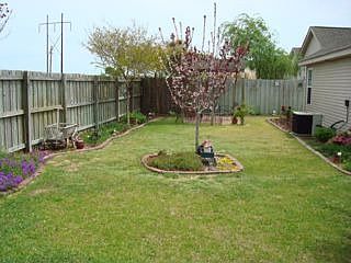 Back Yard (2)