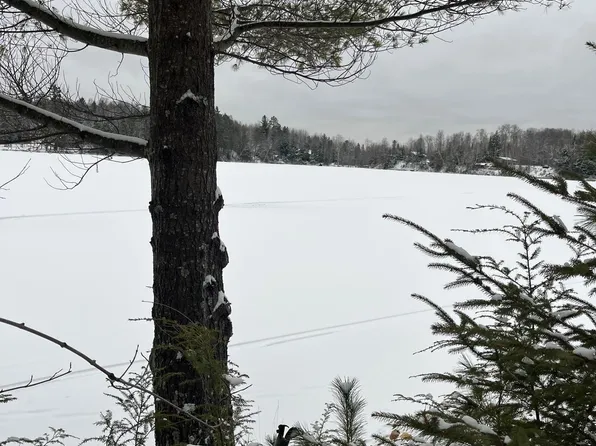 1423 W Shag Lake Rd, Gwinn, MI 49841