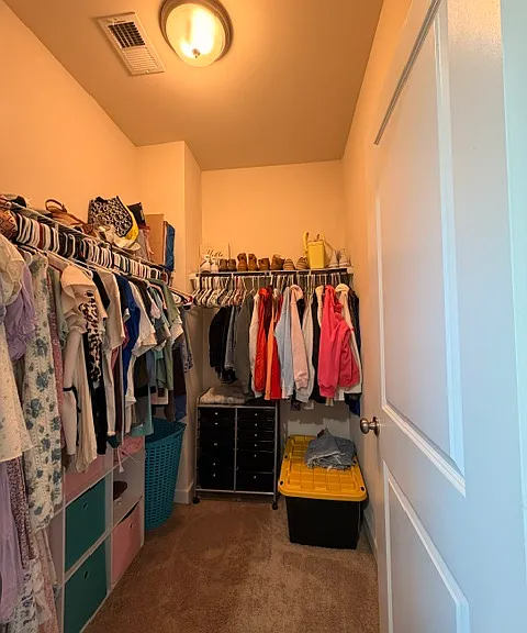 434 Rocky Bark Ln — Photo 29
