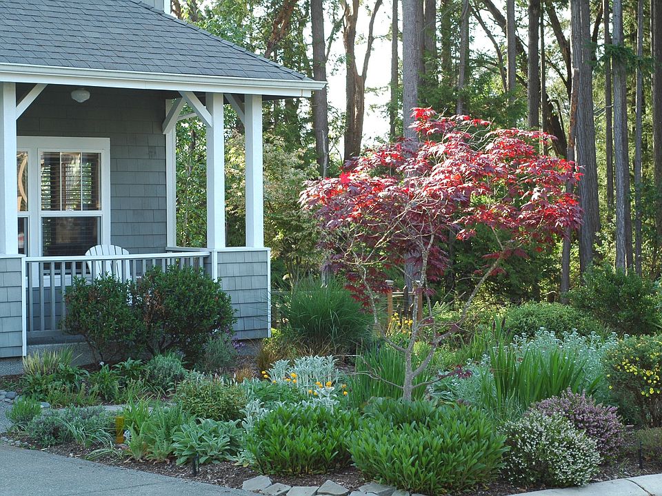 porch and front yard
