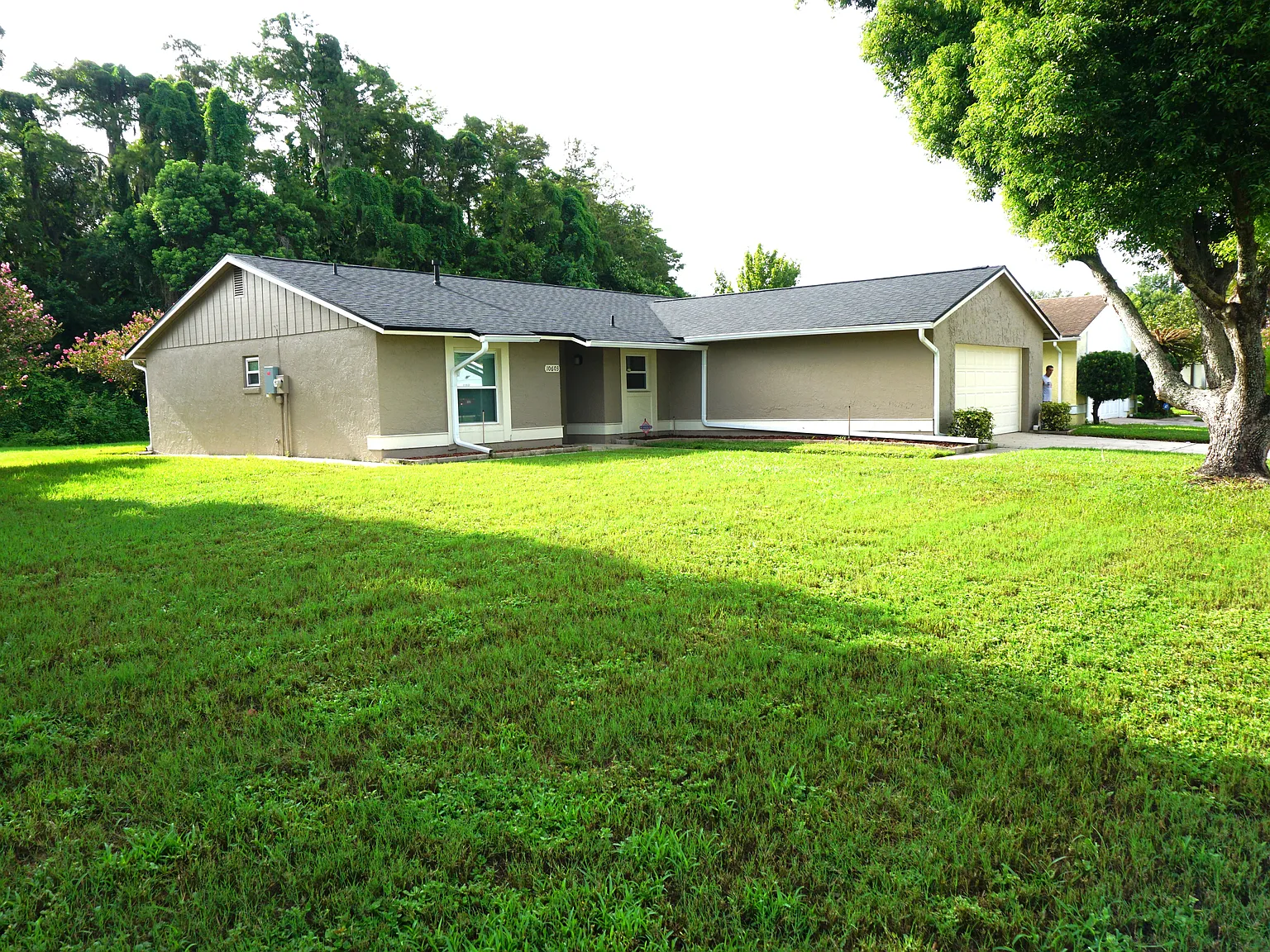 10603 Leafy Way — Photo 3