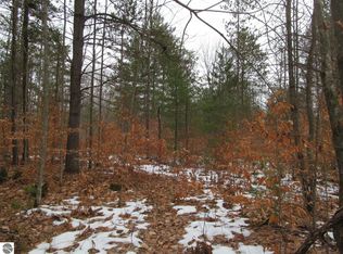 Vandermullen Rd, Lake City, MI 49651