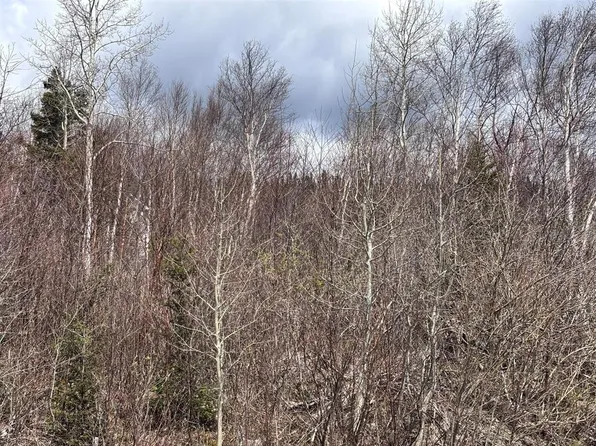 Lot 5 Glenview Estates Extension, Clarenville, NL A5A4H1