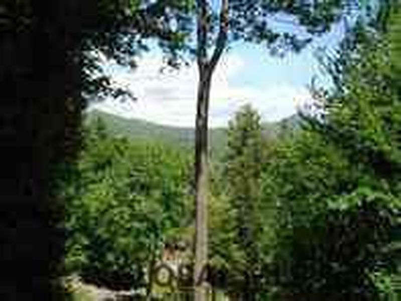 3rd image of Meehan Road #Private
