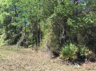 Tbd Ne 128th Ter, Williston, FL 32696